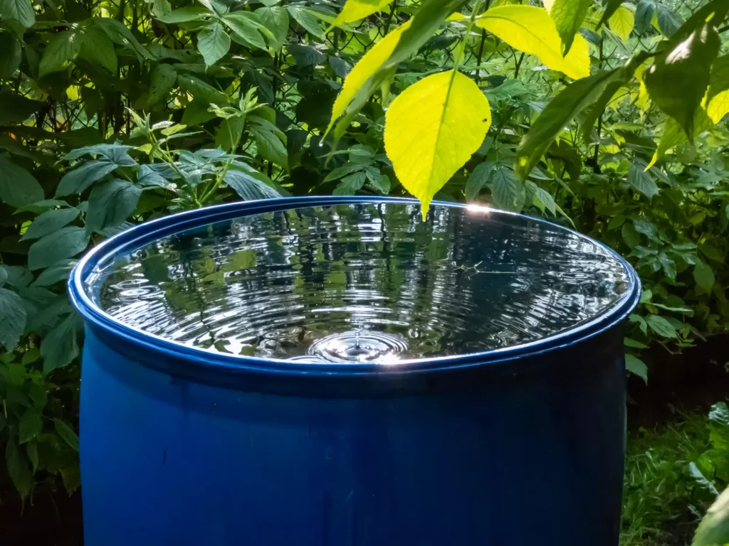 découvrez des stratégies efficaces pour l'optimisation de l'utilisation de l'eau naturelle. apprenez comment préserver cette ressource précieuse tout en améliorant votre impact environnemental et en adoptant des pratiques durables.